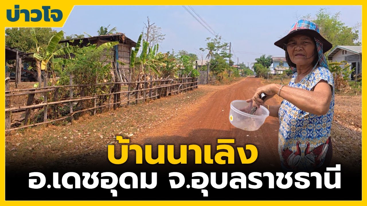 ชนบทอีสาน | บ้านนาเลิง ต.บัวงาม อ.เดชอุดม จ.อุบลราชธานี