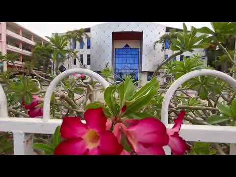 ผลสลากกินแบ่งรัฐบาล วันที่ 1 พย. 2567