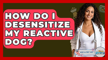 How Do I Desensitize My Reactive Dog? - Ask A Pet Vet