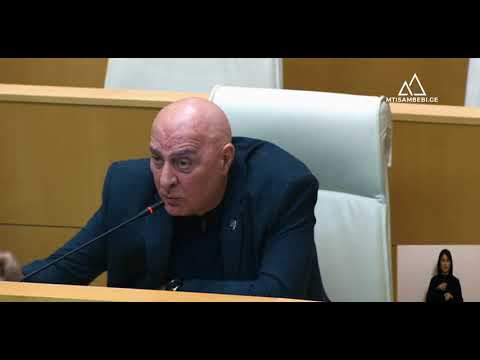 უთხარით, დენის ფულს აღარ გადაიხდიან, ცარიელია ის სოფლები - ენუქიძე ნამახვანჰესზე