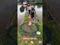 Traditional Pond Fishing with Meat Bait in a Round Net #fishing #shortsvideo  #pond  #meat🐠😐