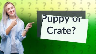 Is it better to sleep with puppy or crate?