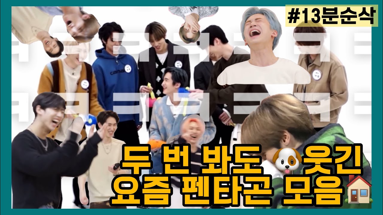 두 번 봐도 🐶웃긴 요즘 펜타곤 모음