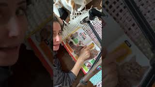 National Geographic Cat Breed Guide
