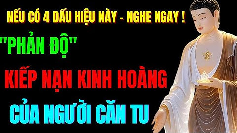 “Phản Độ – Kiếp Nạn Kinh Hoàng Của Người Căn Tu: Nếu Có 4 Dấu Hiệu Phải Nghe Ngay |Tu Tâm Tĩnh Lặng”