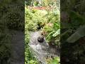 Berpetualang Itu Menyenangkan. #fishing #mancing #sungai