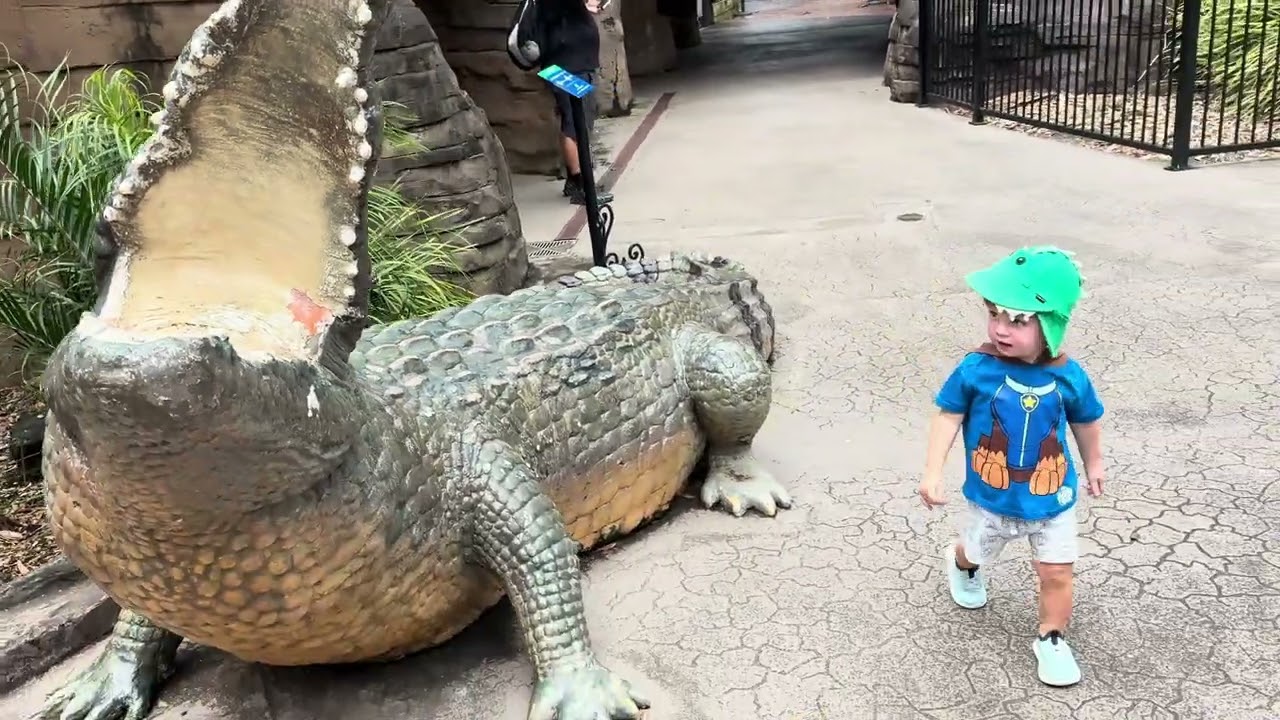 Morning at Dreamworld! The annual local pass is a game-changer #dreamworld #australia #annualpass 