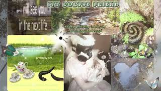 𖦹🍋🌼🦠 𝑀𝓎 𝒞𝑜𝓇𝓅𝓈𝑒 𝐹𝓇𝒾𝑒𝓃𝒹 🍄‍🟫 𝒮𝓁𝑜𝓌𝑒𝒹 🍄‍🟫 𝐵𝒶𝒷𝓎 𝐵𝓊𝑔𝓈 🤎🌼⊹🪲࣪ ˖ #creepycute #melaniemartinez #slowed #music