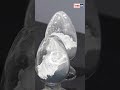 "China Rare Earth से दुनिया को झुका रहा है, India को Crude Oil का भी नहीं पता | गलती किसकी?