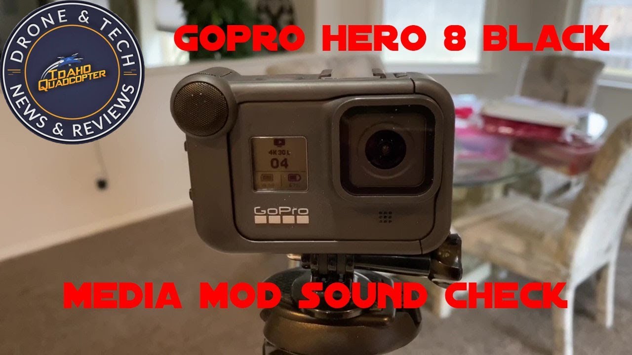 GoPro Hero 8 Media Mod Sound  Check vs Hero 7 Canon M50 & iPhone 11