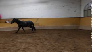 P1020626