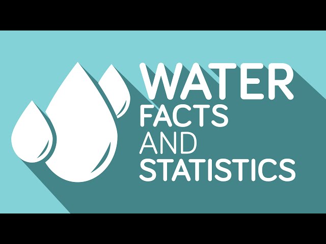 Water Facts