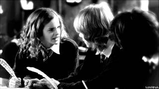 Draco And Hermione I Hate Every Thing About You Dramione