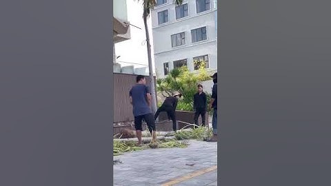 Dịch vụ Cắt Cỏ Sân Vườn tại Hà Nội by Sân Vườn Phú Minh