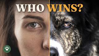 Are Humans Really Smarter Than Dogs? We Put It to the Test