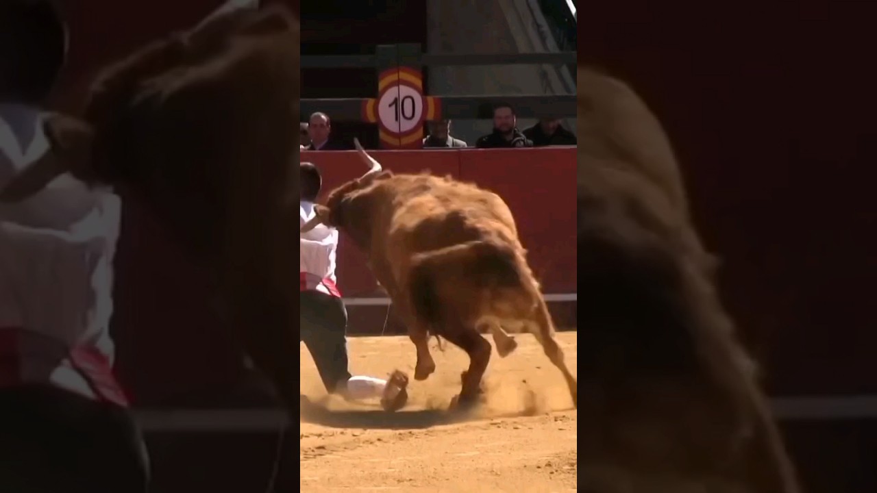 Bach Gaya Ye To😱🤯 