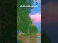 #TIMELAPSE START to FINISH Alone BUILD LOG Cabin (Wooden House) How To Build Wooden Cabin Shorts1346