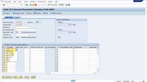 SAP FI Settings  Part №1 Document Splitting Разделение документа в ГГК