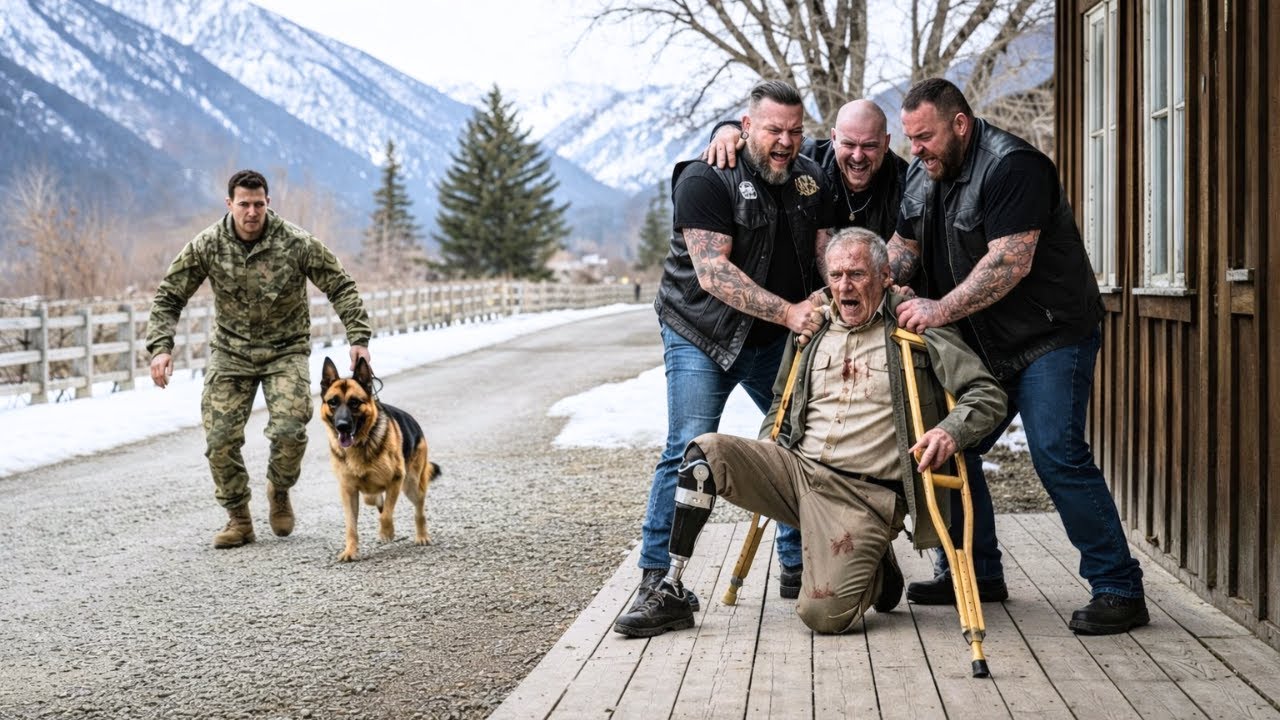 Ils Agressent Un Vétéran De 80 Ans Sans Défense — Ils Ignoraient Qui Était Son Fils