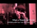 What a Wonderful World (HOHNER mellow tone Toots Thielemans model)