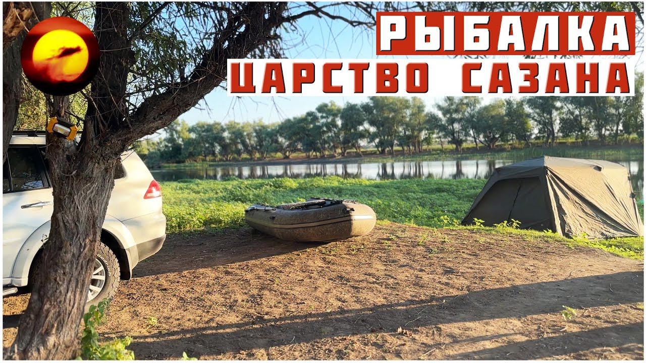 Рыбалка! ЦАРСТВО САЗАНА / Ловля Сазана на Жмых