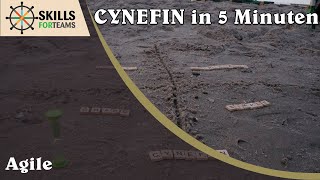Cynefin in 5 Minuten - der Unterschied zwischen Komplex und Kompliziert