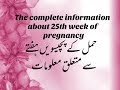 Pregnancy At 25Th Week ||The Complete Mother's Guide About 25th Week Of Pregnancy||