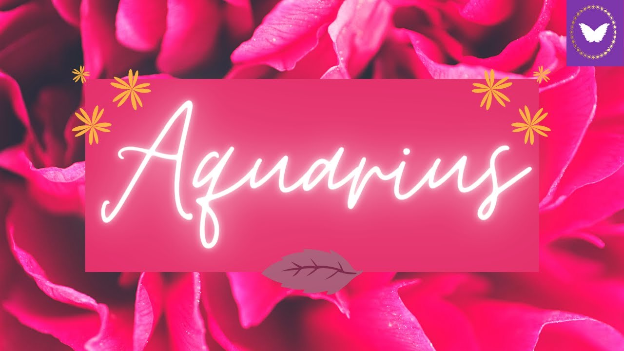 Aquarius fated energy that is moving you into this relationship!💖Tarot Reading