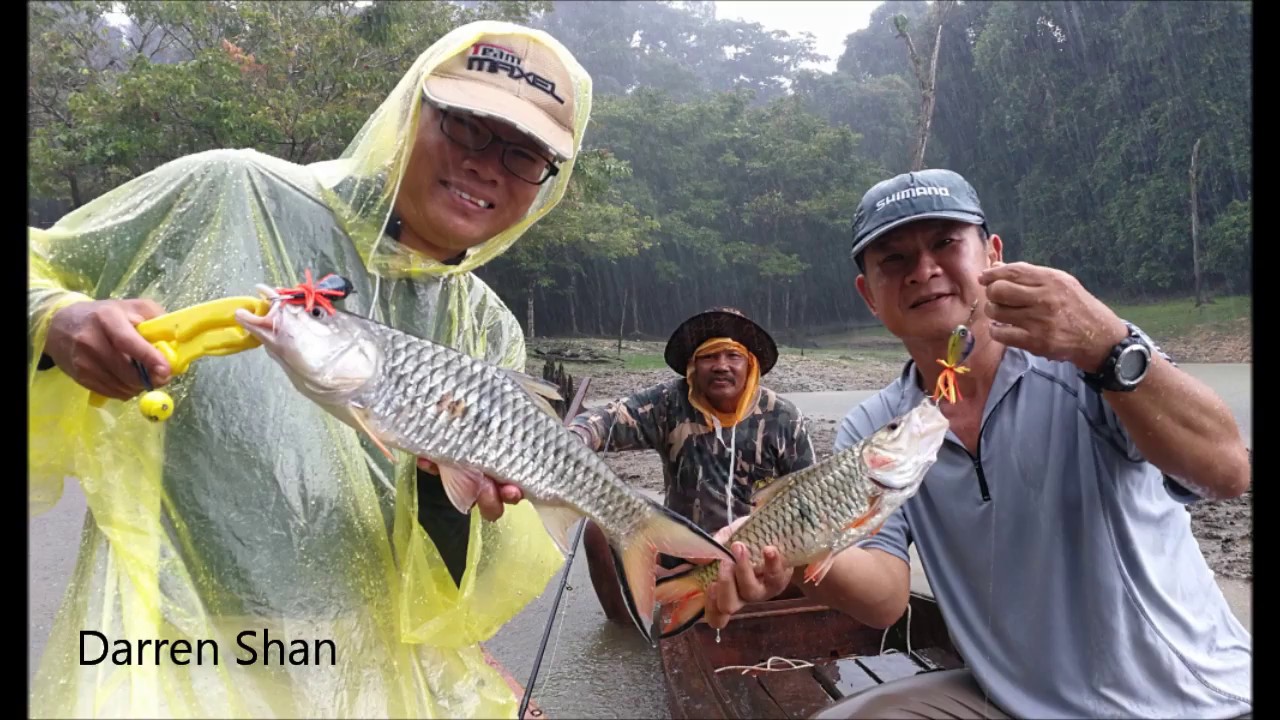 Thailand Cheow Larn Wet Season Sebarau Hunting Part 1 泰国秋兰湖雨季狩猎水马骝 一 Youtube