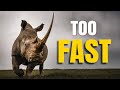 The Hardest Part of Safari Photography (No One Mentions This)