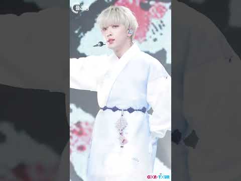 최고의 조합 ･ﾟ✧아서와 아리랑*:･ﾟ✧ #Shorts