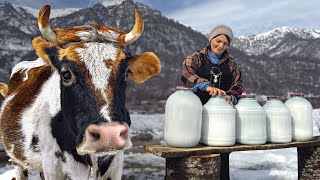 A Superdelicious, Homemade Cheese From The Country! Simple Rural Life