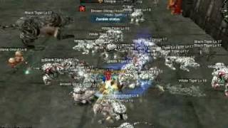 Silkroad Tiger Girl Unique Killing (ecsro)