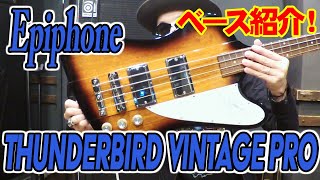 【ベース紹介】Epiphone THUNDERBIRD VINTAGE PRO 60年代のサンダーバード完全リイシューモデル！Gibsonに負けないサウンドとルックス！