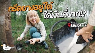 กรีดยางที่ 3 จังหวัดชายแดนใต้ ไปขายเอง ได้เงินเท่าไร!? l ปัตตานี