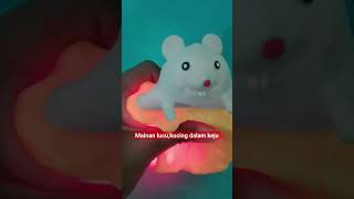 maina lucu,kucing dalam keju|bisa nyala