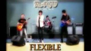 FLEXIBLE BAND : RAGU 2009