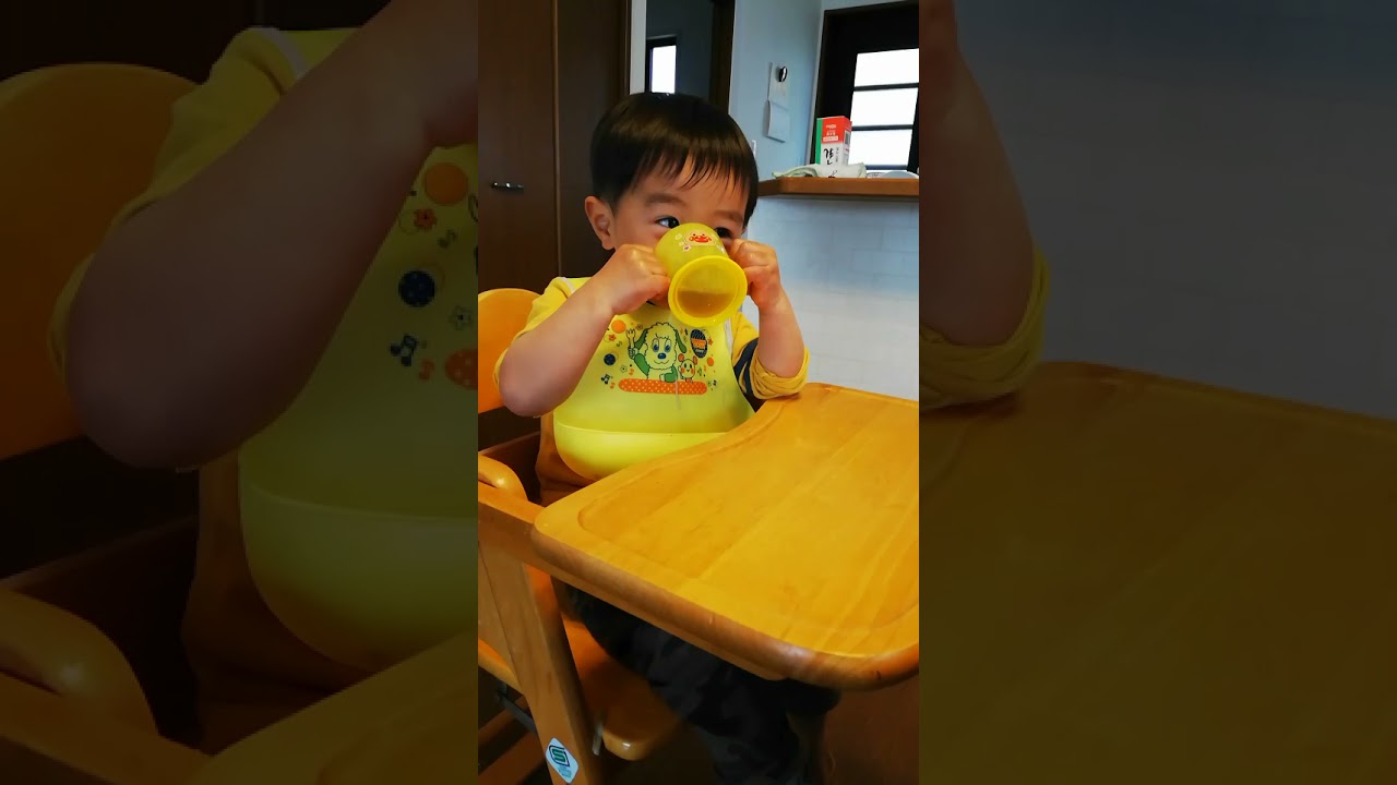 赤ちゃん 子供 面白い動画 可愛い反抗 Youtube 赤ちゃん 子供 面白い動画 可愛い反抗 Youtube