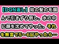 【DQN返し】姑の髪の毛掴んで引きずり倒し、水の中に顔を沈めてやった。それを無言で5～6回やったら…【スカッと実話ジャパン】
