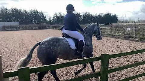 Longton Riding Club - Lisa Crabtree - Bowland Silv...