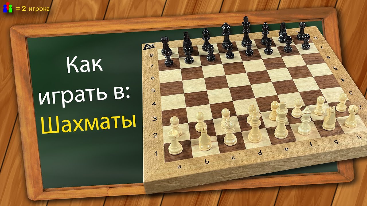 Как играть в Шахматы - YouTube