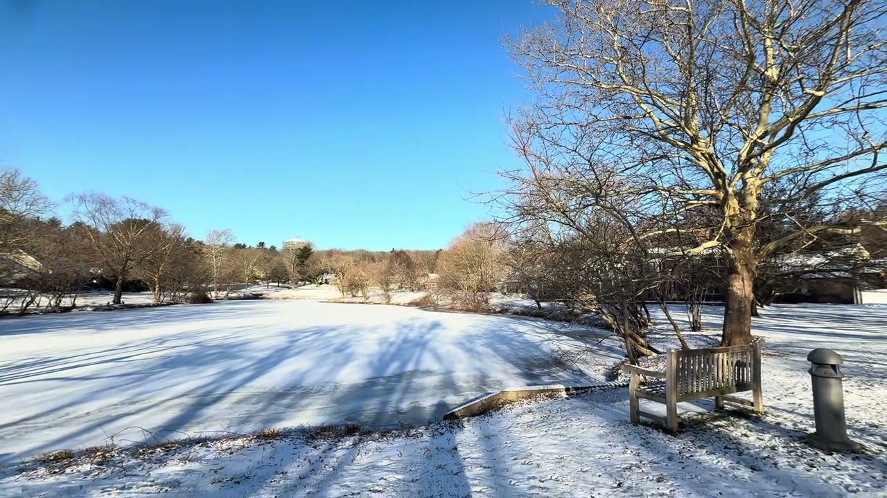 🥶A quiet Winter Lake/Hồ Potter Pond mùa Đông-Mặt hồ im lặng dưới lớp tuyết mỏng 