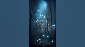 [ يَا عِبَادِيَ الَّذِينَ آمَنُوا ] القارئ عبد الرحمن مسعد