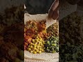 #shorts #viral #ethiopia #addisababa #africa #fyp #trending