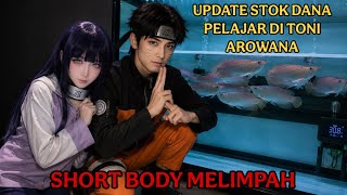 UPDATE STOK TONI AROWANA ‼️ BARU DATENG SHORT BODY MELIMPAH ‼️