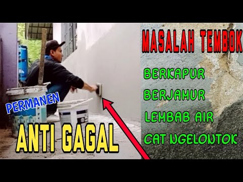 CARA MUDAH MEMPERBAIKI TEMBOK LEMBAB DAN BERJAMUR ANTI GAGAL