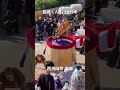 #長崎くんち #西古川町 #傘鉾 #伝統芸能 #日本の祭り #おくんち