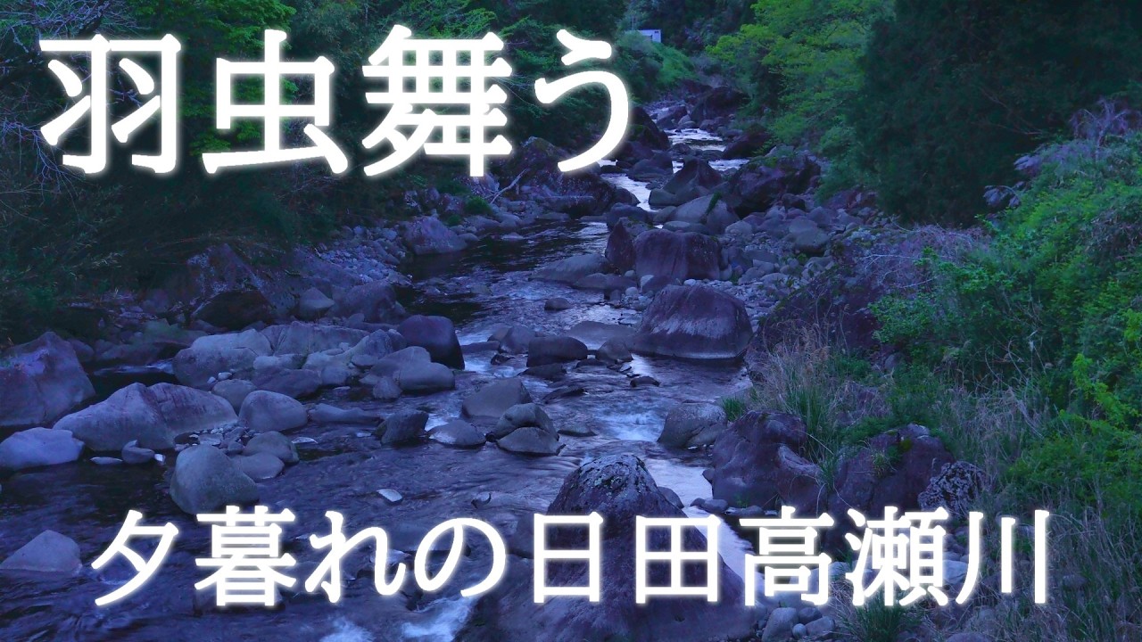 R8.4.21.大分県日田市高瀬川でヤマメ釣りに挑戦！ - YouTube