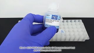 Sds-Page Sample Preparation Protocol Using Reducing Reagent