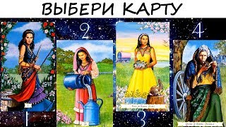 видео Гадание с кошкой